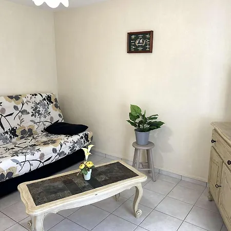 Sg000-009 Maison 4 Pieces 6 Couchages Le Fenouiller Saint Gilles Croix de vie